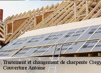 Traitement et changement de charpente