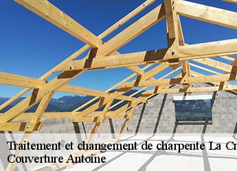 Traitement et changement de charpente  77370