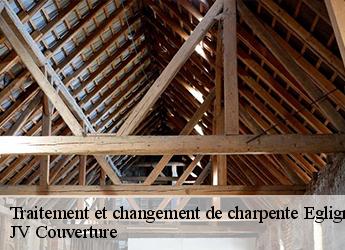 Traitement et changement de charpente 77126