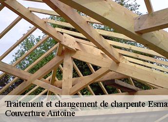 Traitement et changement de charpente  esmans-77940 Couverture Antoine