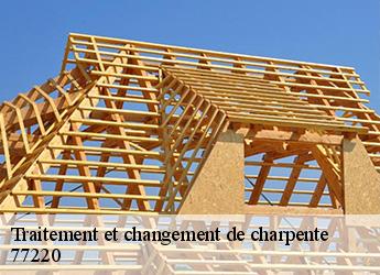 Traitement et changement de charpente