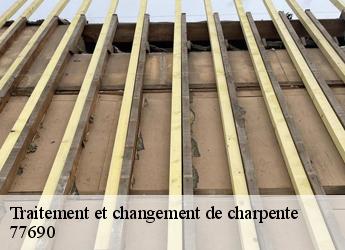 Traitement et changement de charpente  77690