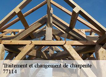 Traitement et changement de charpente  77114