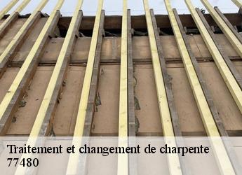 Traitement et changement de charpente  77480