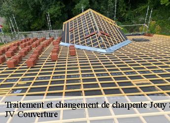 Traitement et changement de charpente  77320