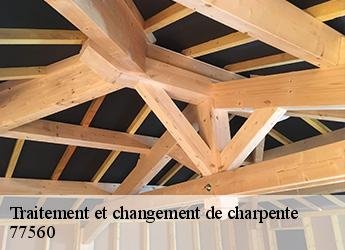 Traitement et changement de charpente  77560