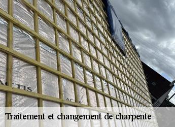 Traitement et changement de charpente