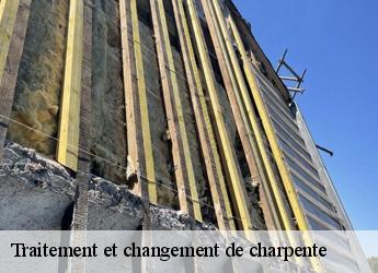 Traitement et changement de charpente