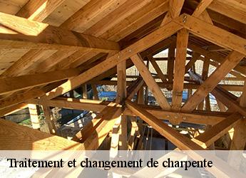 Traitement et changement de charpente