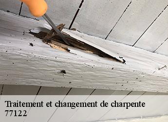 Traitement et changement de charpente  77122