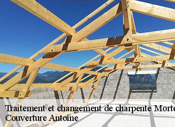 Traitement et changement de charpente  77160