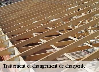 Traitement et changement de charpente