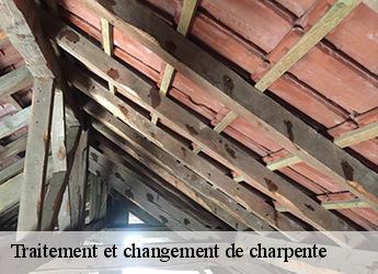 Traitement et changement de charpente