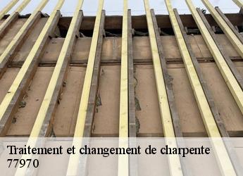 Traitement et changement de charpente 77970