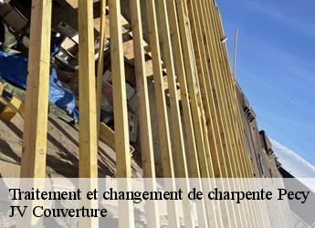Traitement et changement de charpente pecy-77970 Artisan Romero David