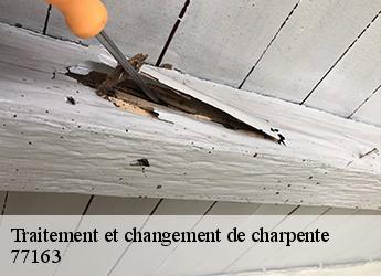 Traitement et changement de charpente 77163