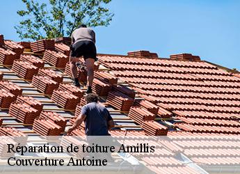 Réparation de toiture  77120