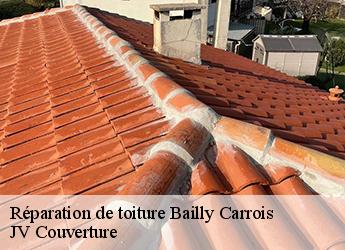 Réparation de toiture