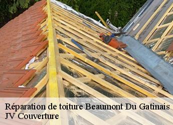 Réparation de toiture beaumont-du-gatinais-77890