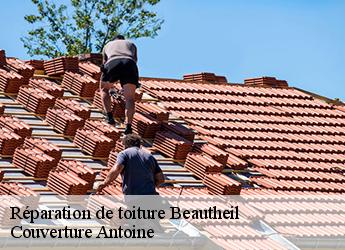 Réparation de toiture  77120