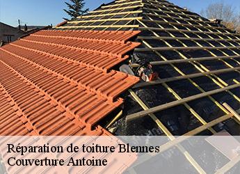 Réparation de toiture blennes-77940 Couverture Antoine
