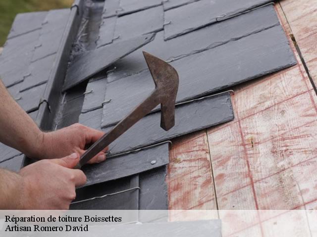 Réparation de toiture  77350