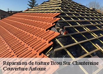 Réparation de toiture  brou-sur-chantereine-77177 Couverture Antoine