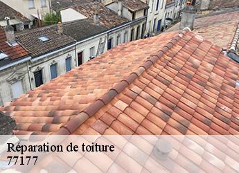 Réparation de toiture  77177