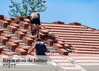 Réparation de toiture  77177