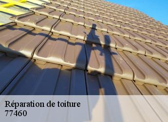 Réparation de toiture  77460