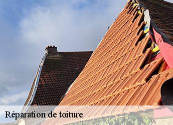 Réparation de toiture 77650