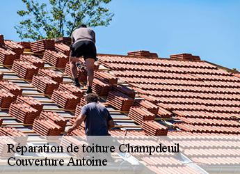 Réparation de toiture  77390