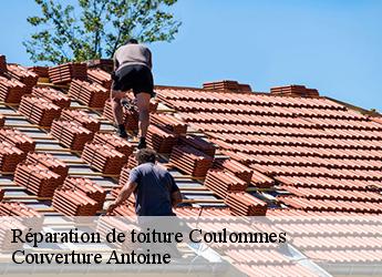 Réparation de toiture  77580
