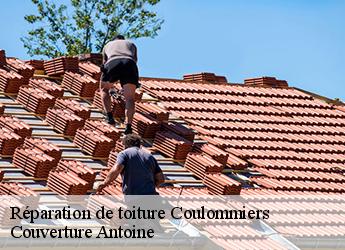 Réparation de toiture  77120