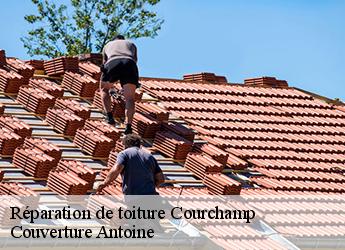 Réparation de toiture  77560