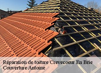 Réparation de toiture  crevecoeur-en-brie-77610 Couverture Antoine