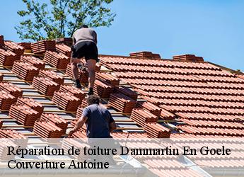 Réparation de toiture  77230