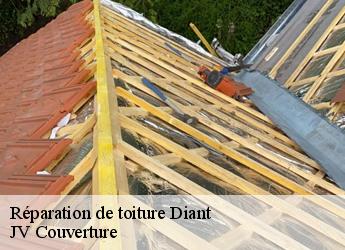 Réparation de toiture diant-77940