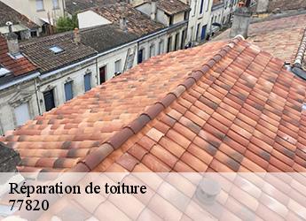 Réparation de toiture  77820