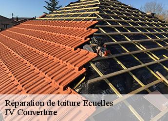 Réparation de toiture 77250