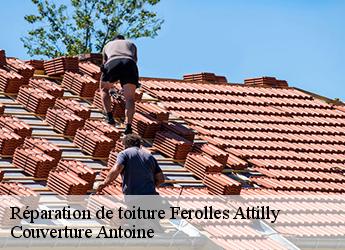 Réparation de toiture  77150