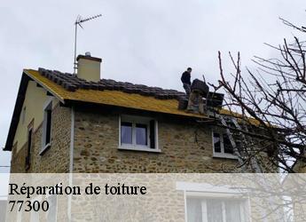 Réparation de toiture  77300