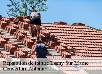 Réparation de toiture  77400