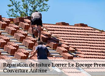 Réparation de toiture  77710
