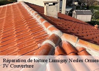 Réparation de toiture