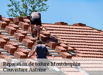 Réparation de toiture  77320