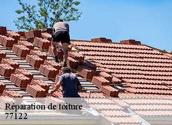 Réparation de toiture 77122