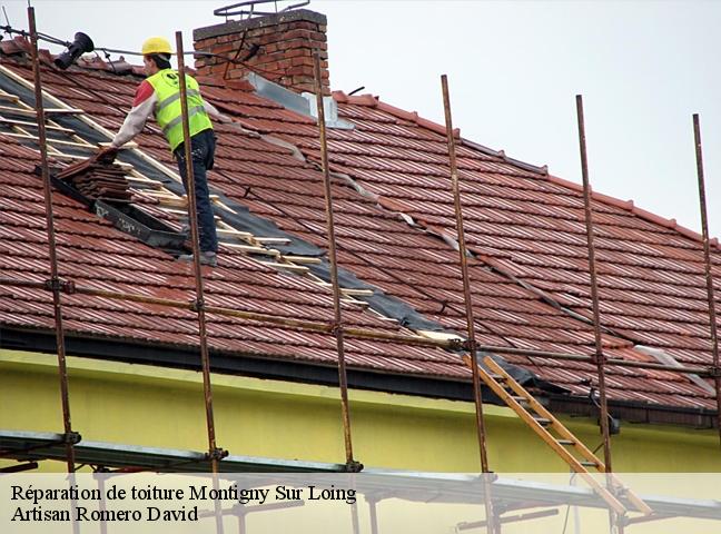 Réparation de toiture  montigny-sur-loing-77690 Artisan Romero David