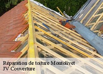 Réparation de toiture montolivet-77320 Artisan Romero David