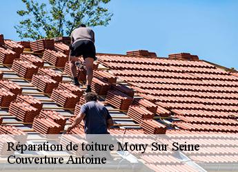 Réparation de toiture  77480